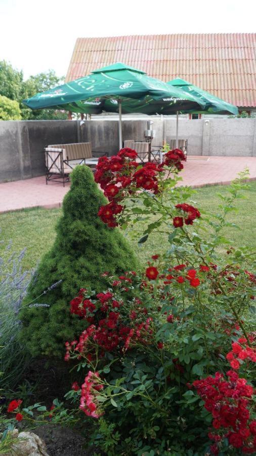 Hotel Bourbon Vama Veche Εξωτερικό φωτογραφία